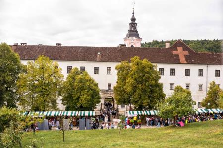 40. Stična mladih 2021 31